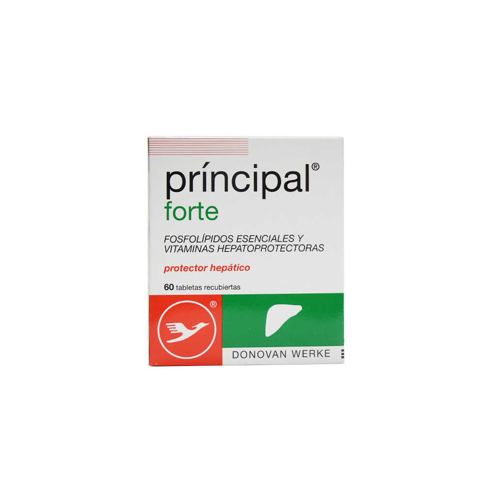 PRINCIPAL FORTE TAB X60